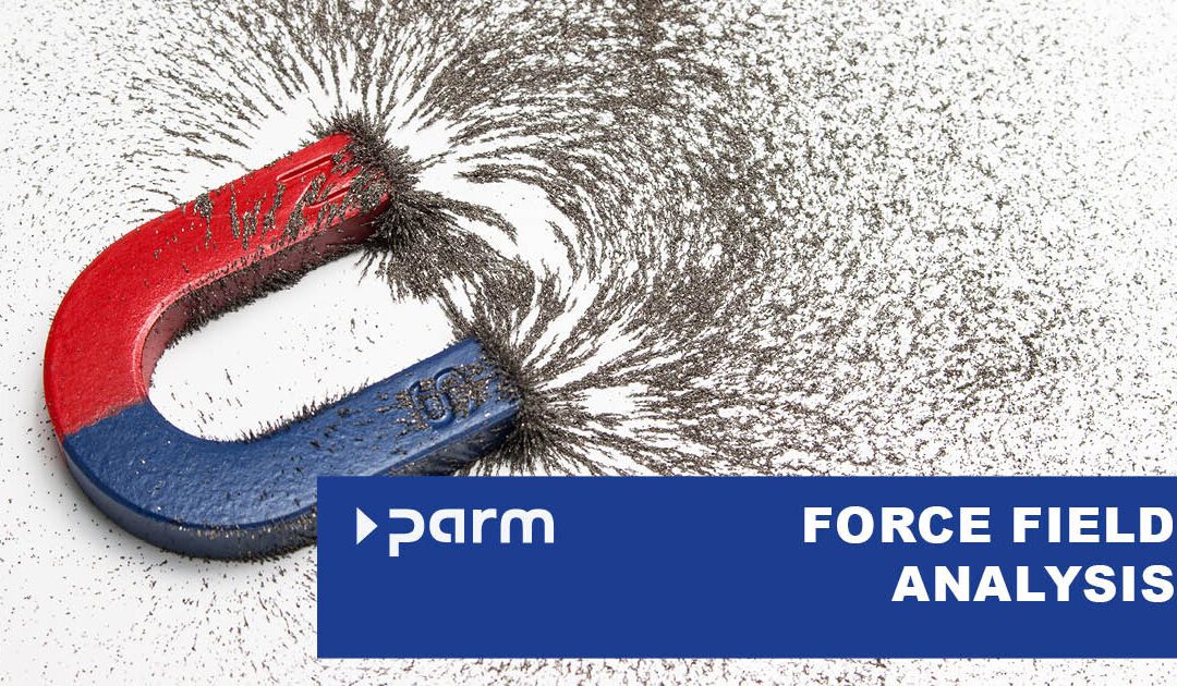 L’analisi del campo di forza nella gestione dei progetti