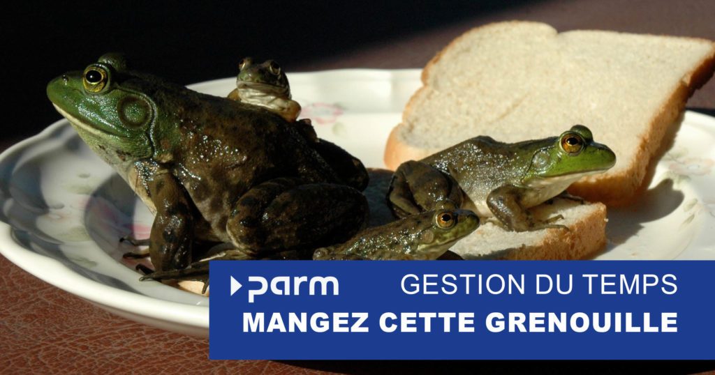 Post_Eat-that-frog Project Time Management: Eat That Frog