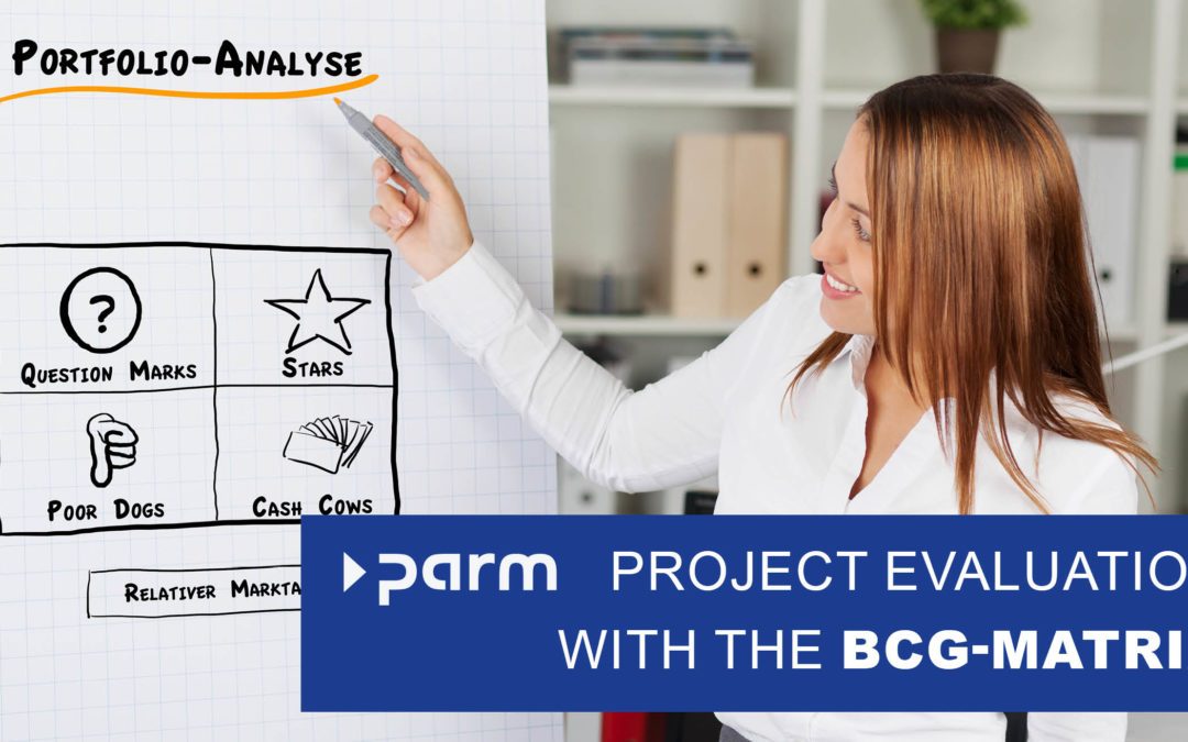 The BCG Matrix in Project Management