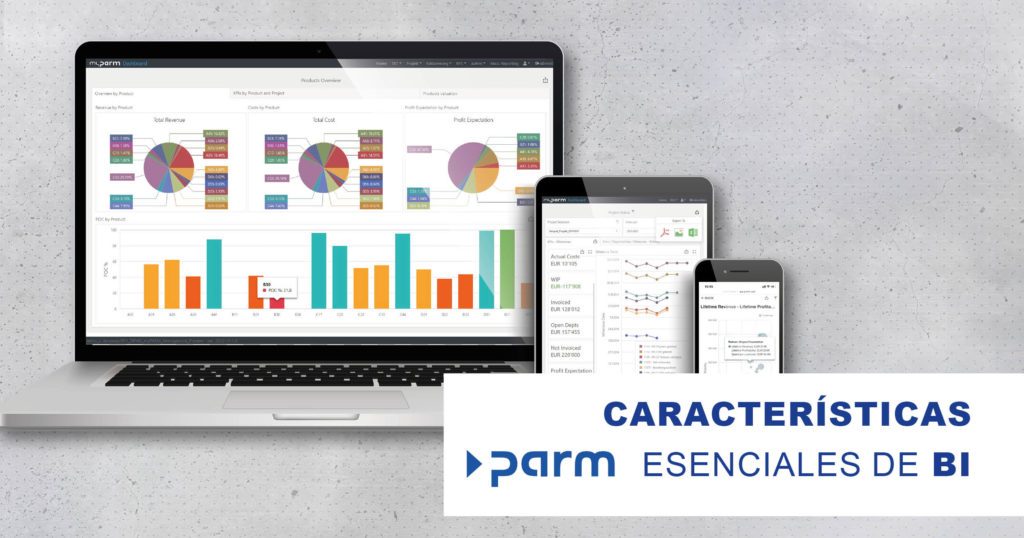 Características esenciales de BI Características esenciales de BI