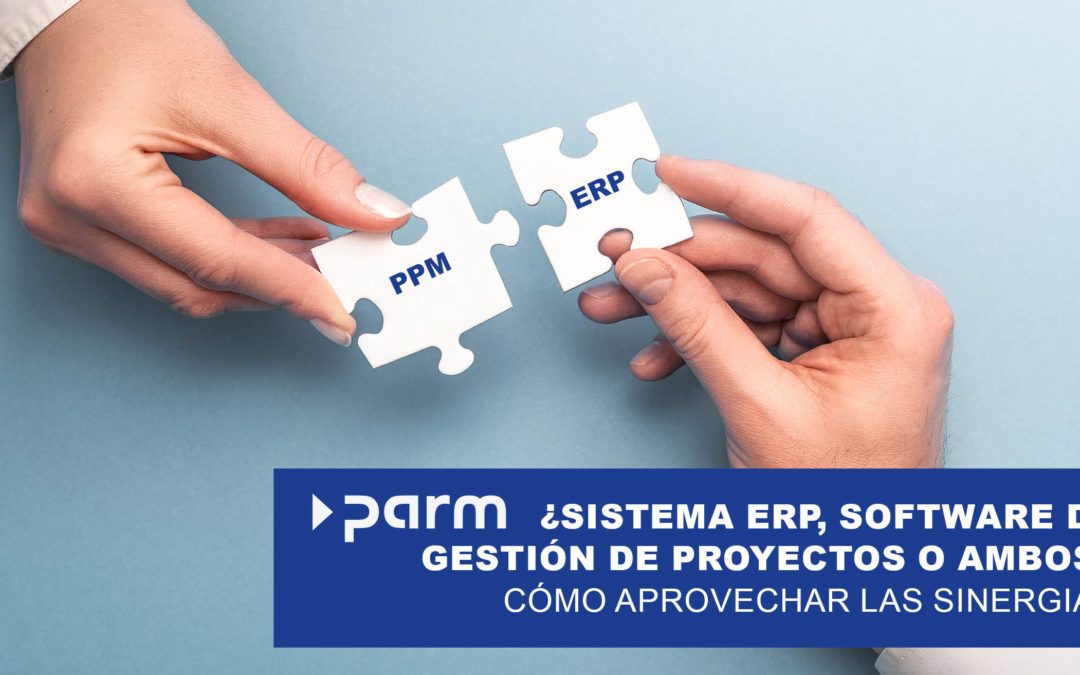 ¿Sistema ERP, software de gestión de proyectos o ambos?