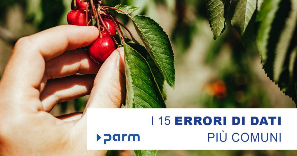 I 15 errori di dati più comuni