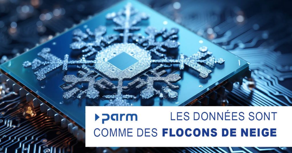 Les données sont comme des flocons de neige : pourquoi chaque morceau est unique