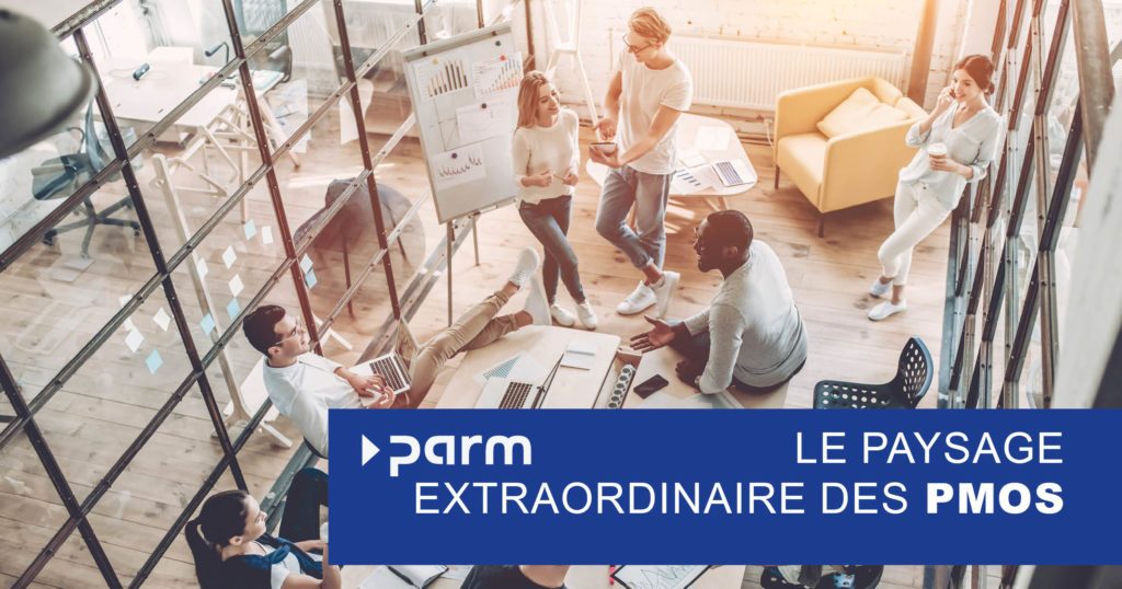 Post_PMOs Le paysage extraordinaire des PMOs