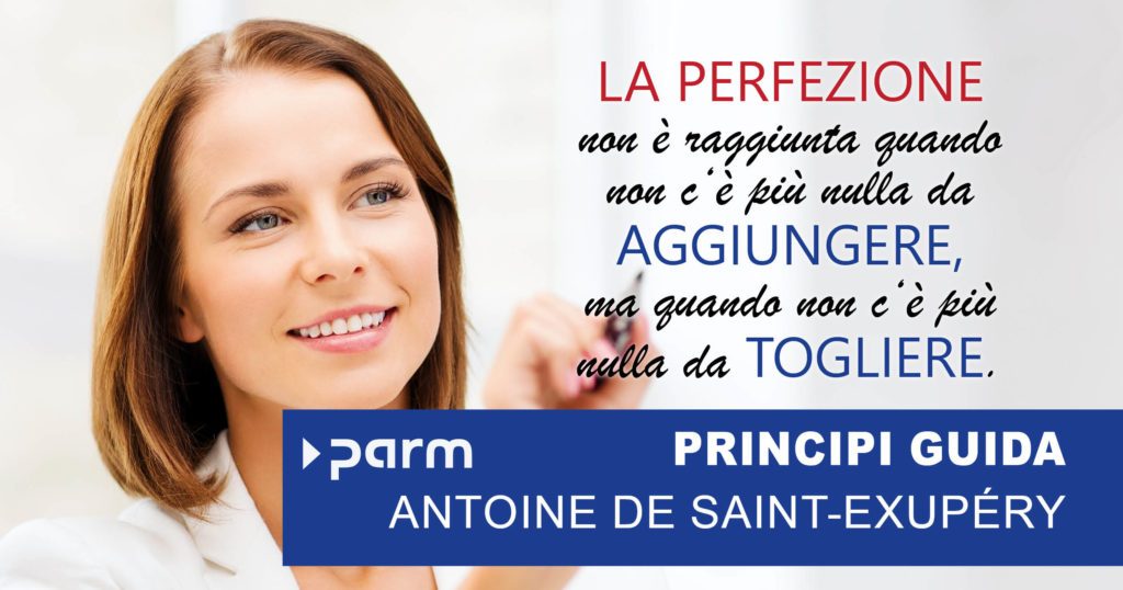 Guiding principles in project management: Saint-Exupery