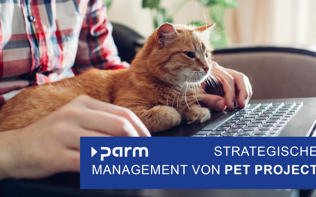 Pet Projects – Kreative Ausreisser oder strategische Stolpersteine?