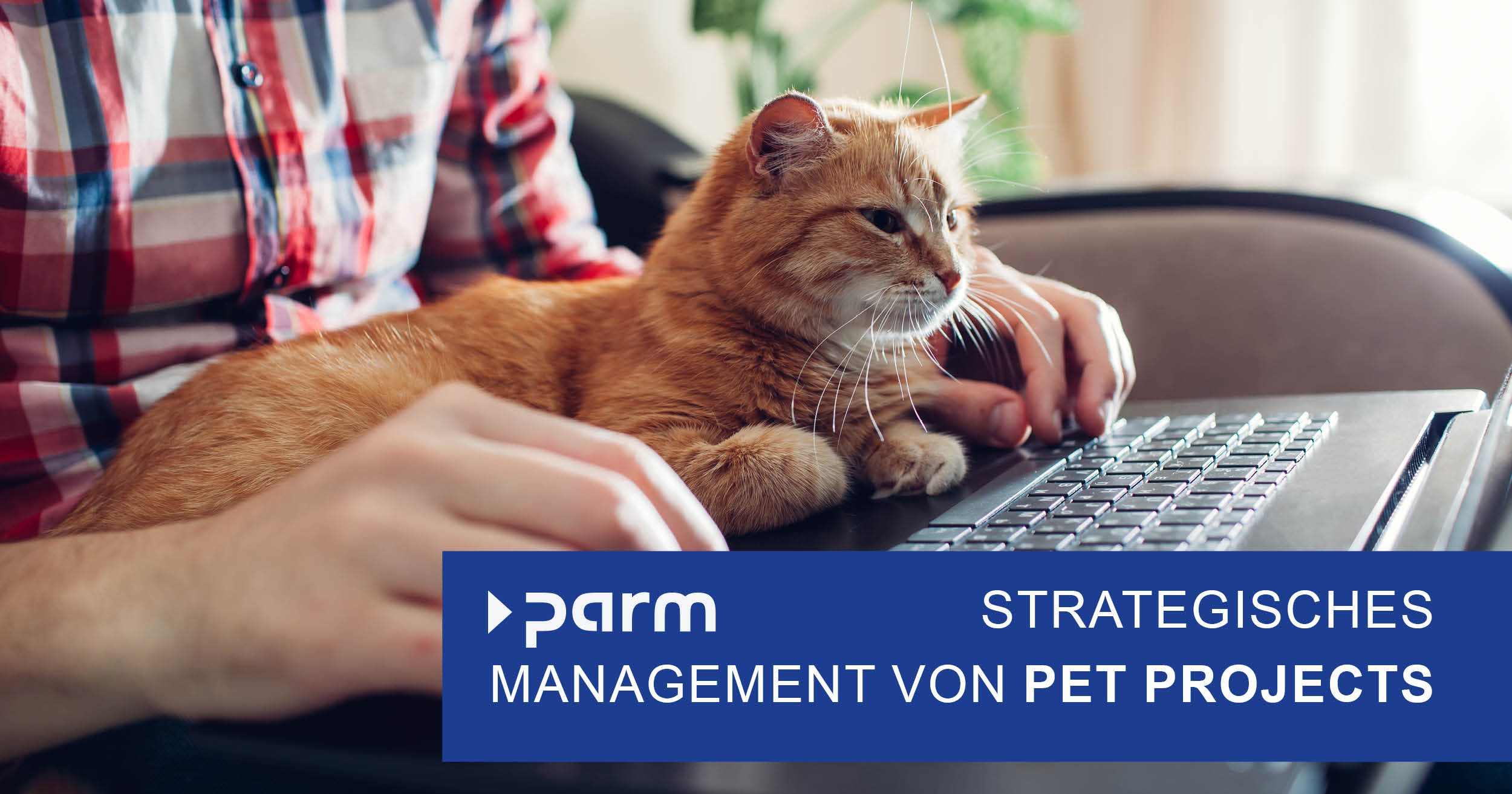 Strategisches Management von Pet Projects