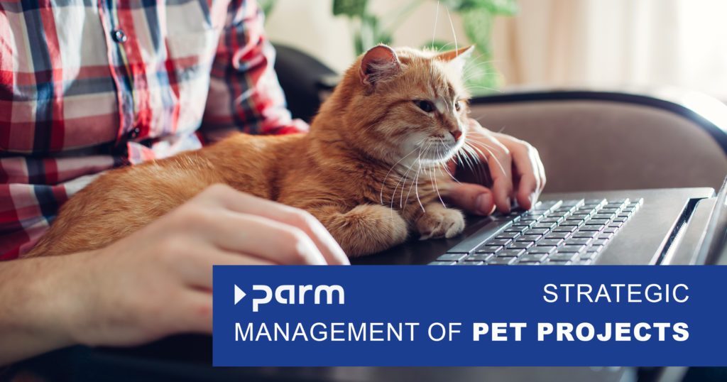 Strategic management of pet projects