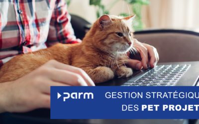 Pet Projets : innovations créatives ou obstacles stratégiques ?