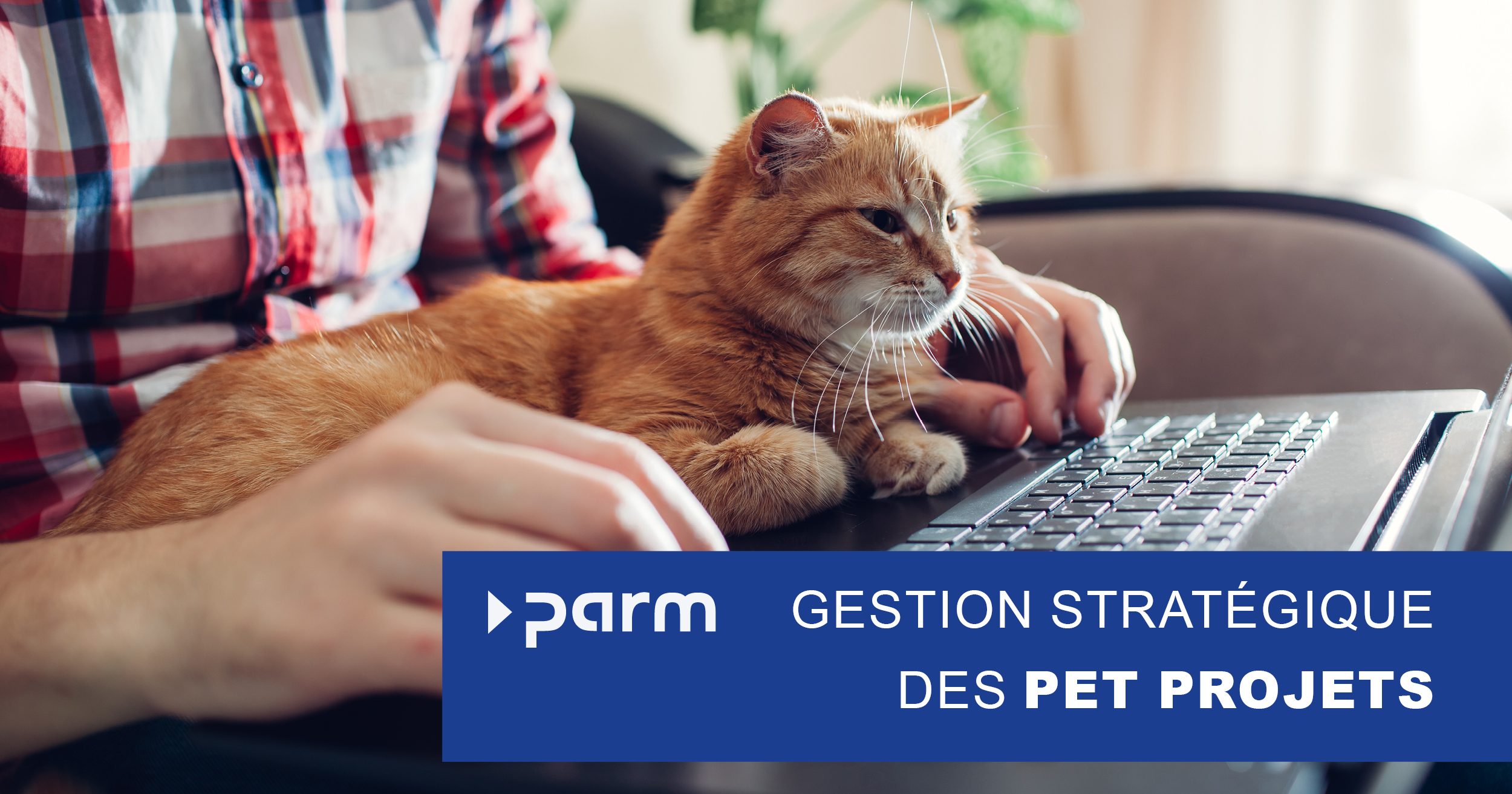 Gestion stratégique des Pet projets