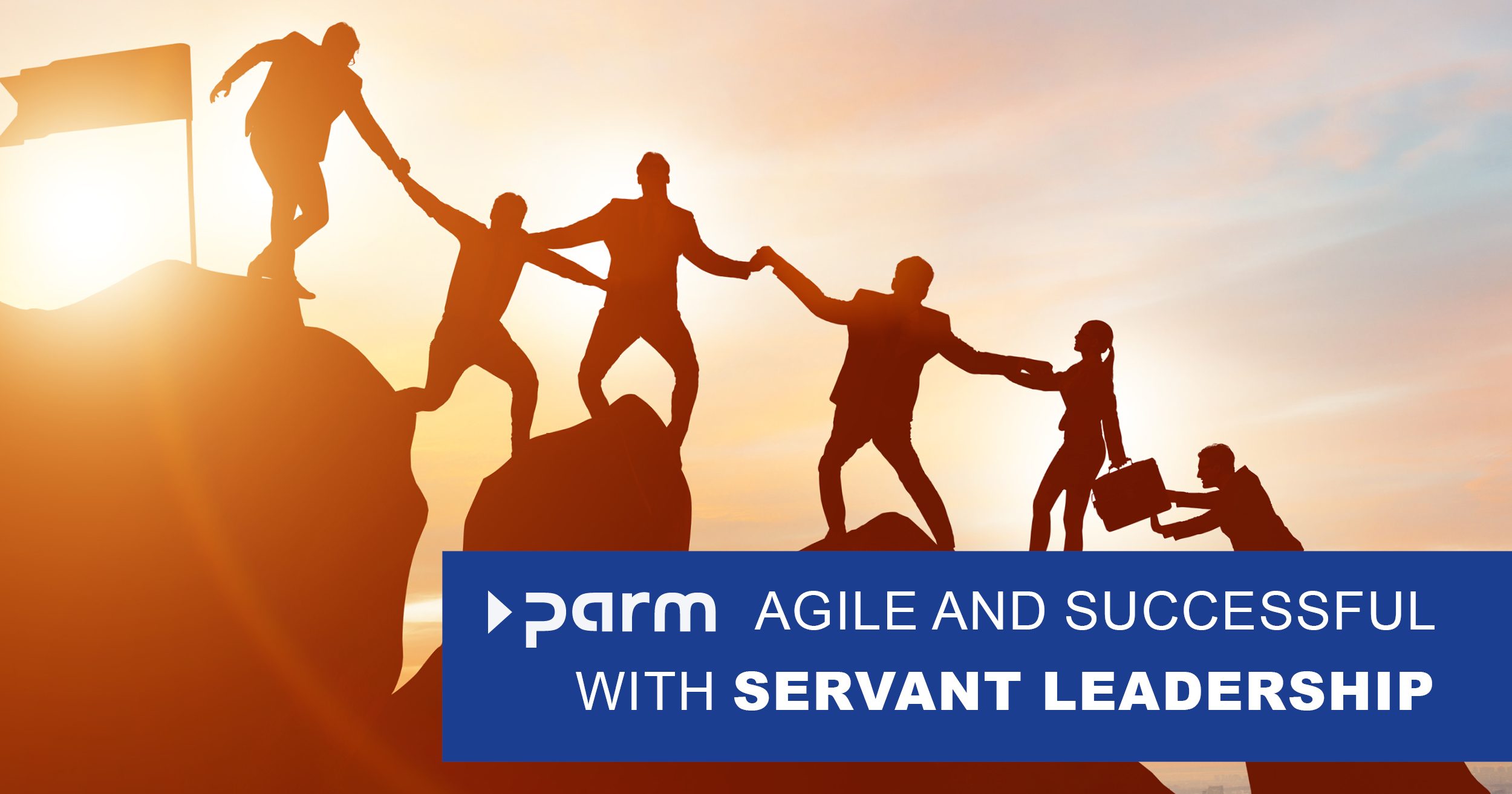 Agile and successful with servant leadership