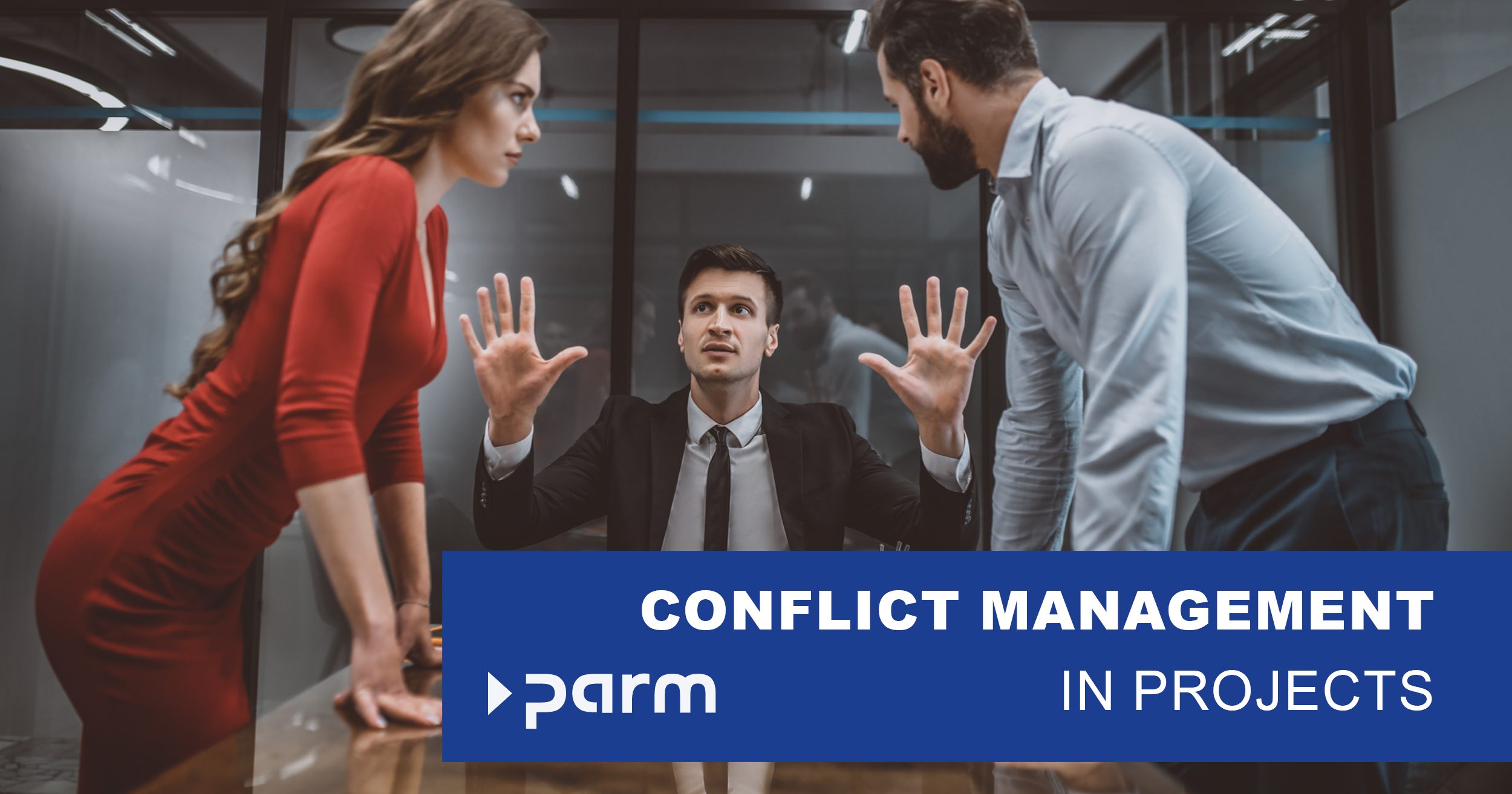 Conflicts in the project? How to make the best of it! 