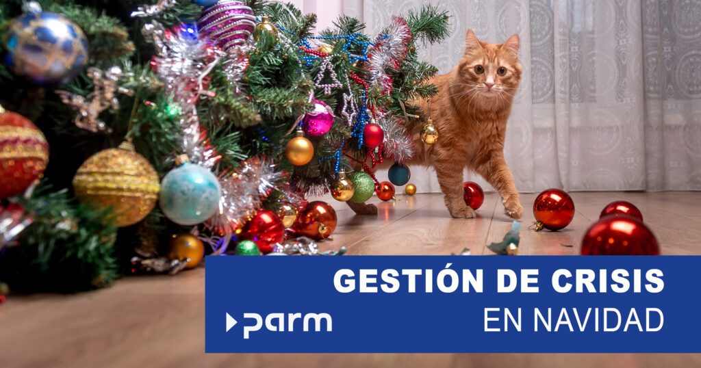 Post_crisis_management Gestión de crisis en Navidad