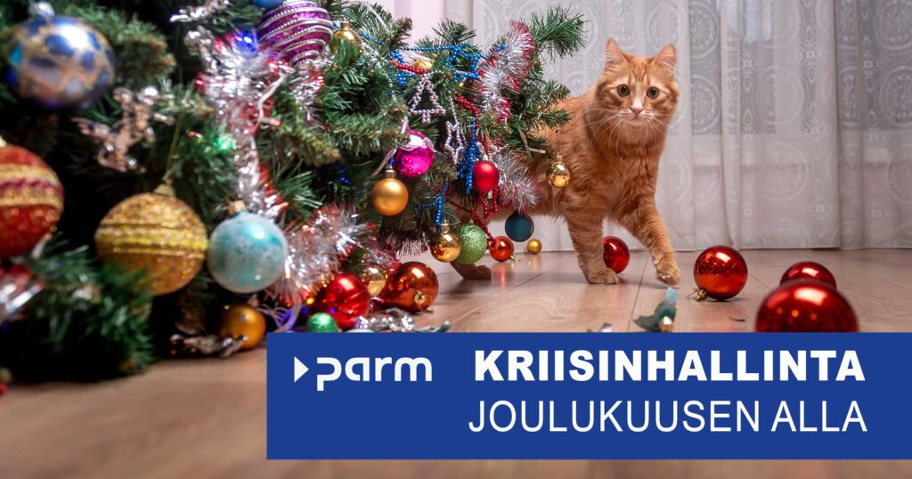 Post_Crisis_management Kriisinhallinta joulukuusen alla