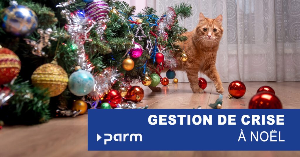Post_crisis_management Gestion de crise sous le sapin de Noël