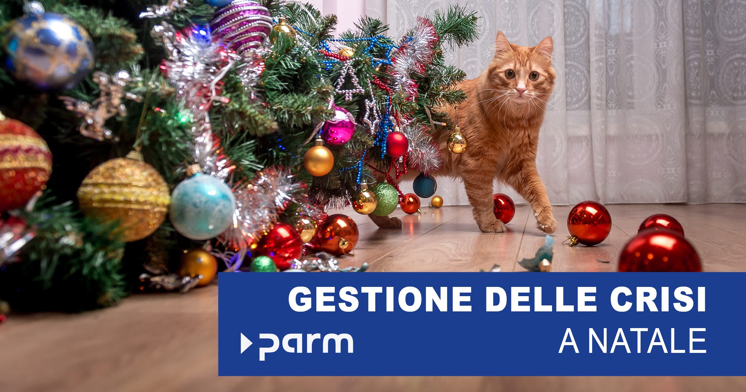 Gestione della crisi sotto l'albero di Natale: quando il regalo non arriva in tempo e altri disastri