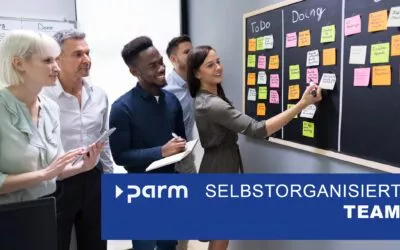 Selbstorganisation im Projektmanagement