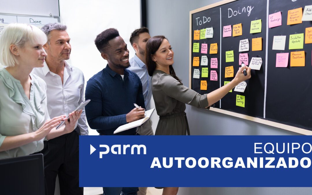 Autoorganización en la gestión de proyectos