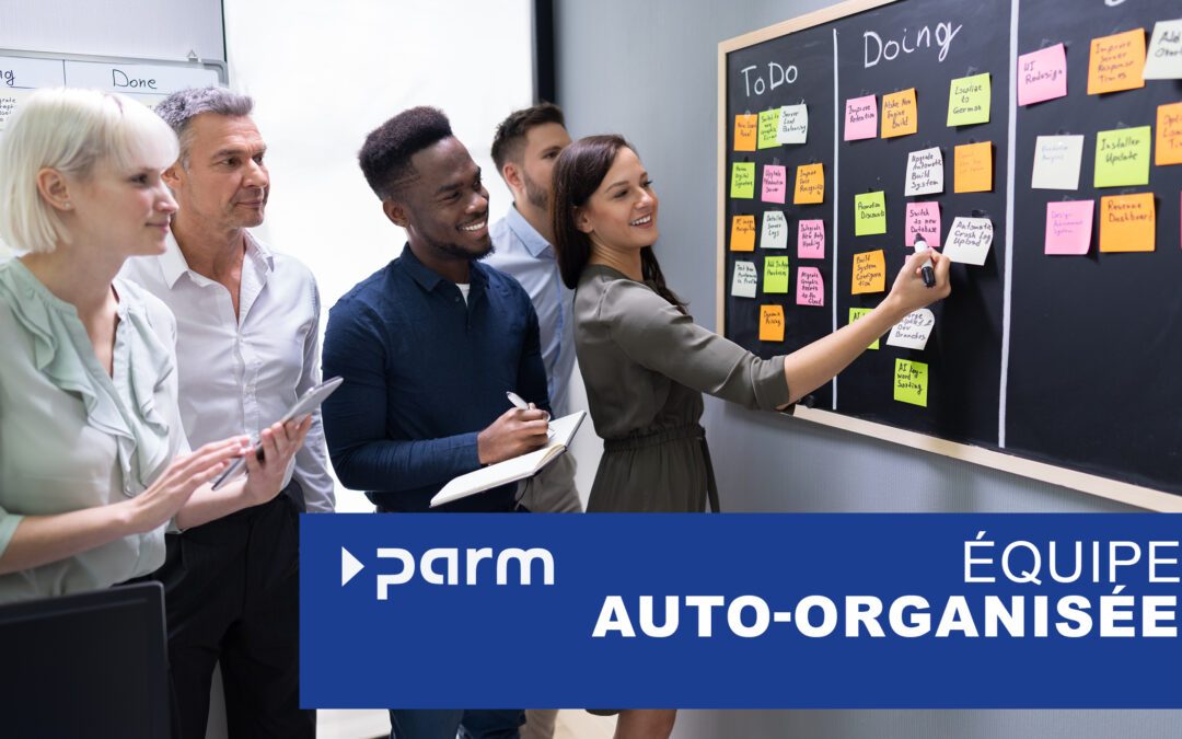 L&rsquo;auto-organisation dans la gestion de projet