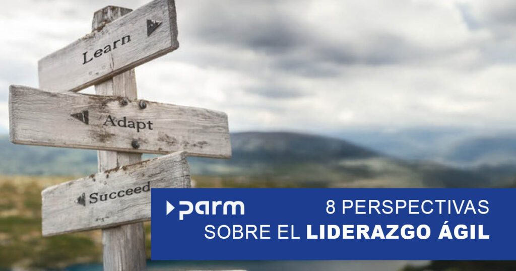 Introducción al liderazgo ágil: Ocho perspectivas para el cambio cultural
