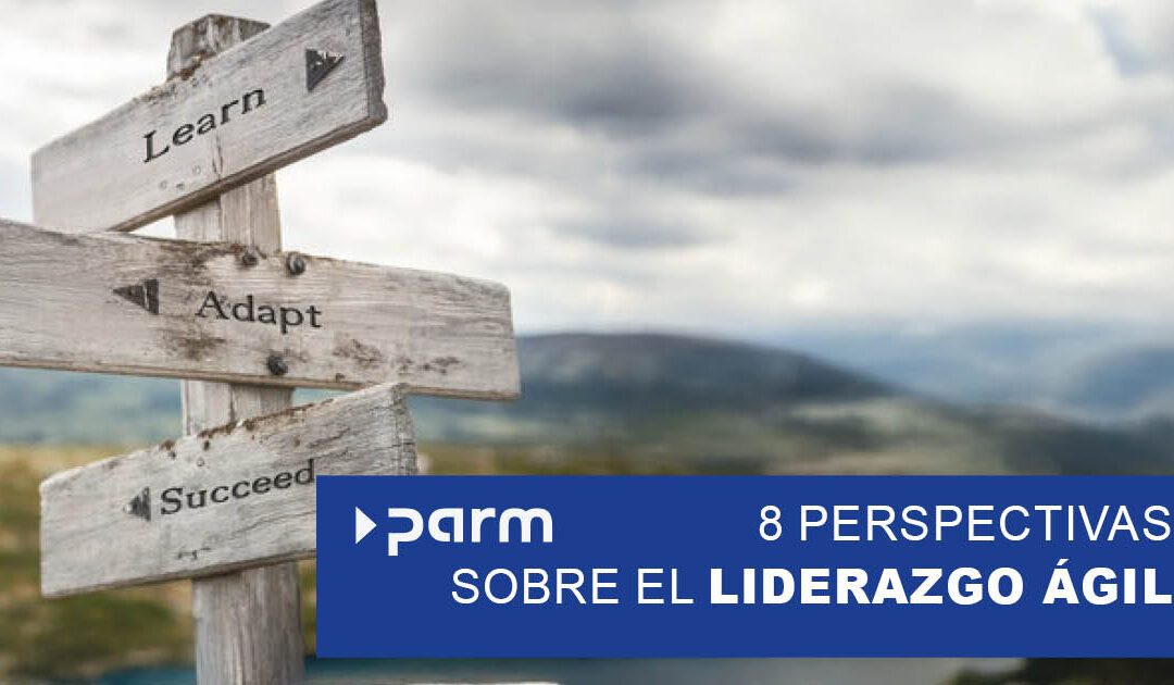 8 perspectivas sobre el liderazgo ágil